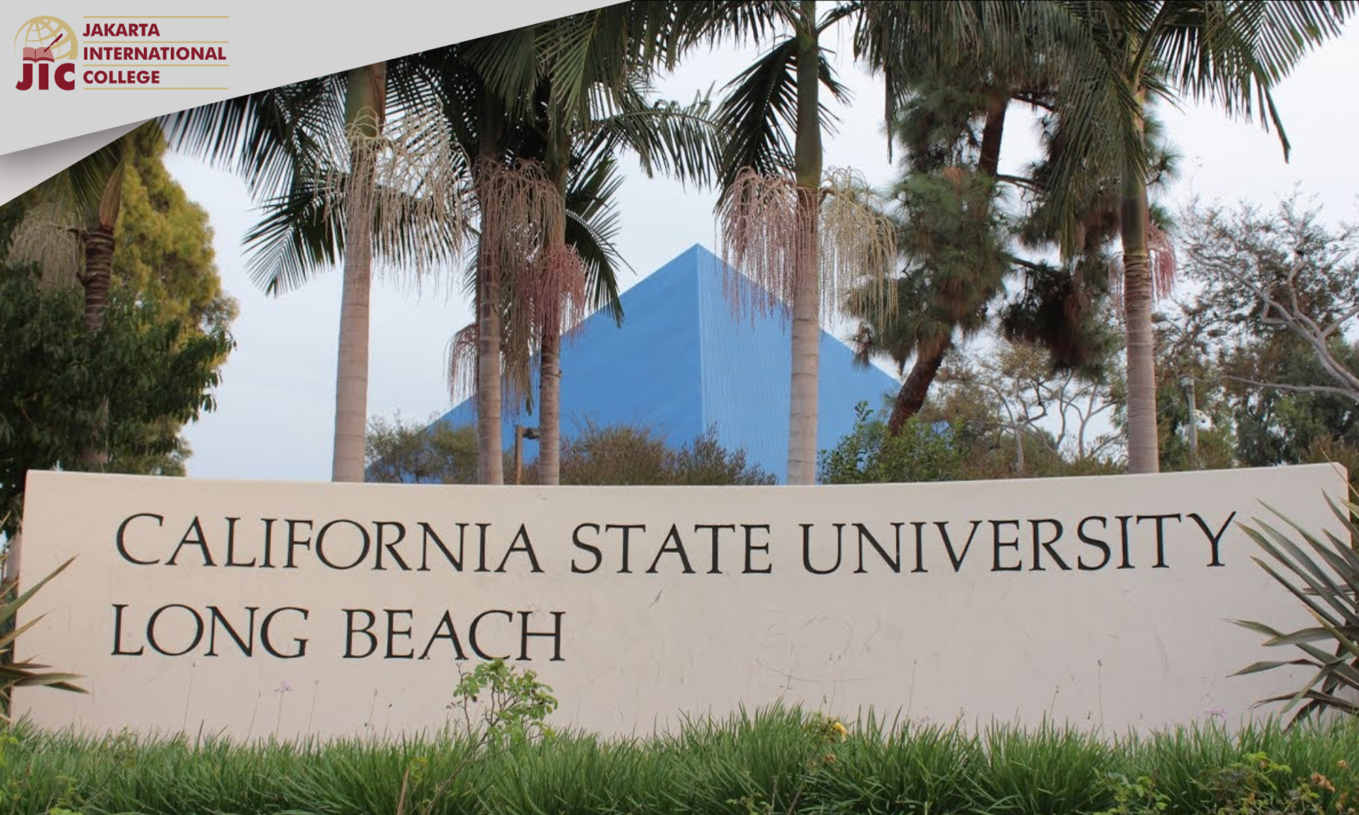 Introducing JIC's new partner, California State University - Long Beach